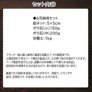 E105 培養土　【植え替え土セット】　観葉植物の土　6号