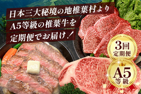 【 定期便 全3回 】 月に1回のお楽しみ！ 椎葉牛ステーキ定期便 総重量 1,080g 【 日本三大秘境 椎葉村 育ちの黒毛和牛 】 牛肉 ステーキ 定期便 肉 牛ヒレ ヒレ肉 ロース サーロイン A5等級指定 黒毛和牛 A5ランク TK-102