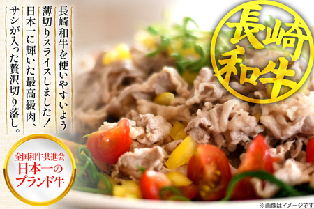 牛肉 切り落とし 長崎和牛 切り落し500g [大川ストアー 長崎県 東彼杵町 hs42bag580004]