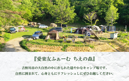 キャンプ場 利用券 5000円分 宿泊券 徳島 観光