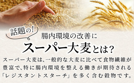 やまがた雑穀玄米パックごはん 150g×9個 (つや姫・スーパー大麦・もち麦 3種ブレンド) ラベルレス 訳あり 山形 パックライス 備蓄 保存 パックライス FZ25-178