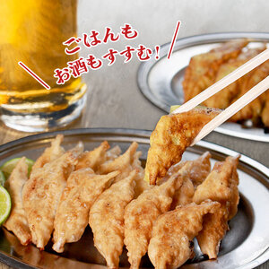 冷凍餃子 にんにくあり 60個 餃子