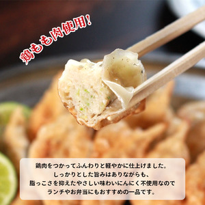 冷凍餃子 にんにくあり なし 食べ比べ 各1パック 餃子