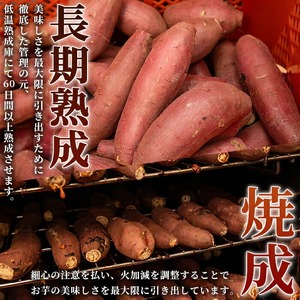 n397 数量限定 冷凍 焼き芋 セット 合計2kg さつま芋 安納芋 紅はるか 【ファーム工房】