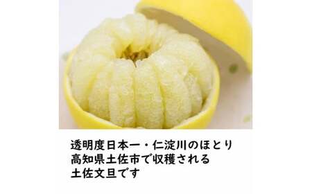 生産者直送 土佐文旦 約3.0kg [2L?4L] 家庭用 【2026年1月下旬より発送】 家庭用 文旦 柑橘 みかん フルーツ  果物  産地直送 お取り寄せ 人気  【土佐文旦産直協同組合】 [BQAH010]