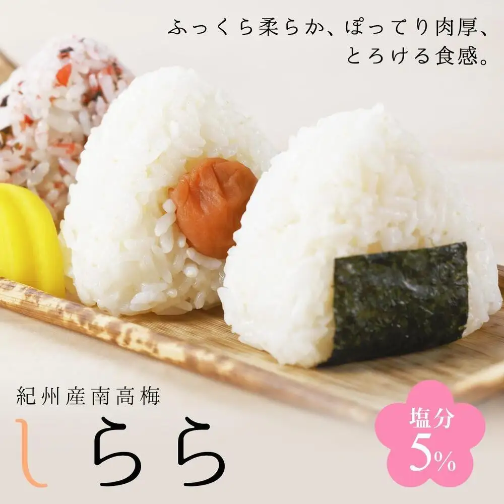 紀州産南高梅 梅干し しらら 500g 減塩 梅干 塩分5% 中田食品