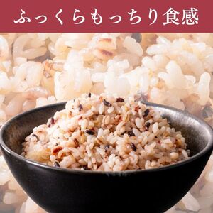 【定期便12ヶ月】金賞健康米 十六雑穀 パックご飯 120g×12個 低GI 腹持ち抜群