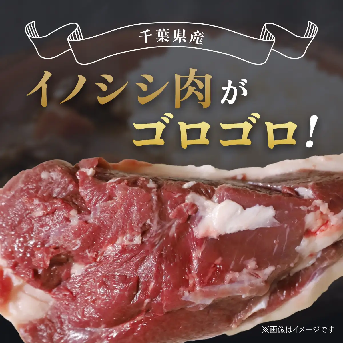 ジビエジャポン猪カレー　5箱セット(200g×5P) MBQ001