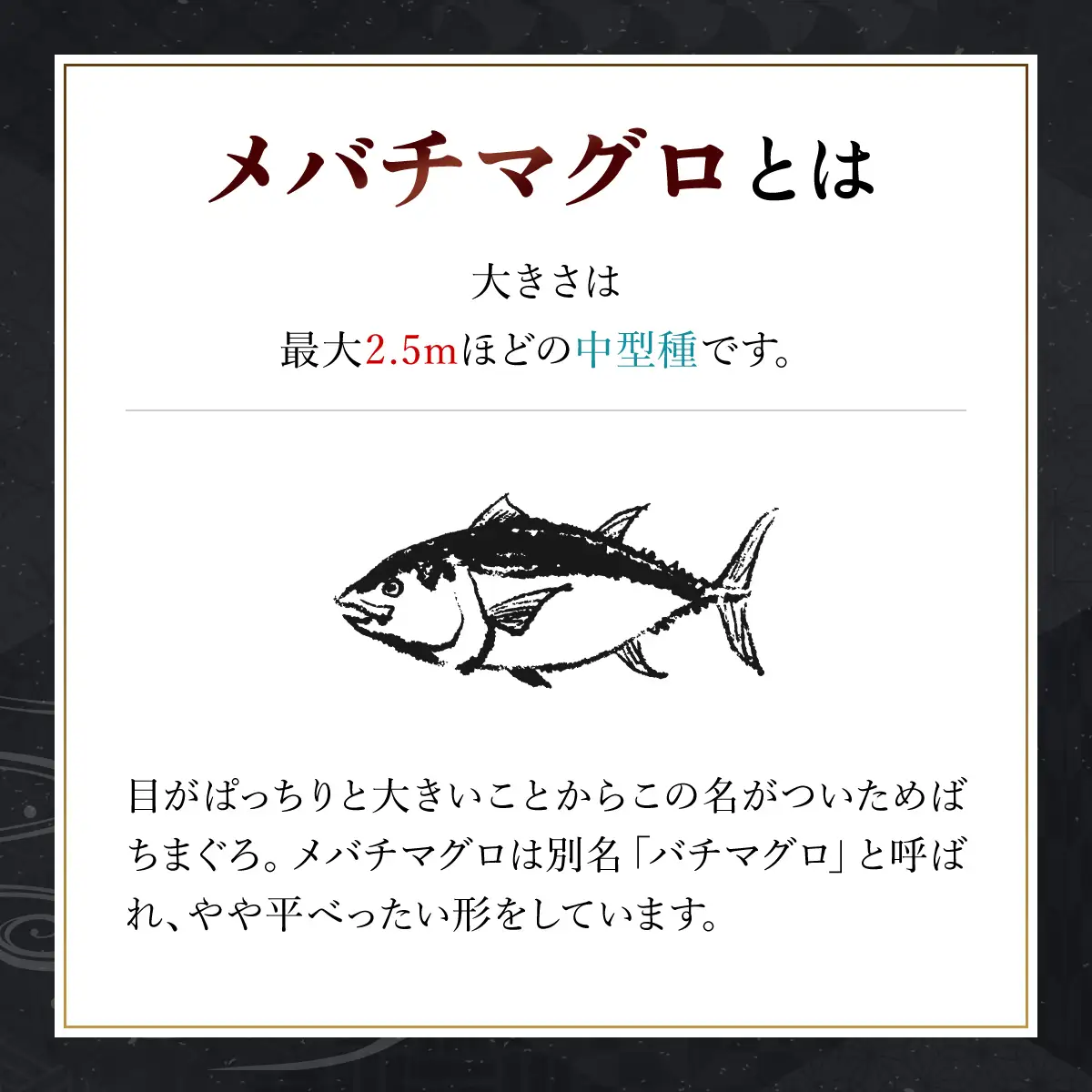 メバチマグロ 兜　頭半割 1個分 MBT006