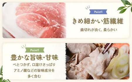 【訳あり】かごしま黒豚切り落とし 1kg 株式会社薩摩八重ファーム ZS-976