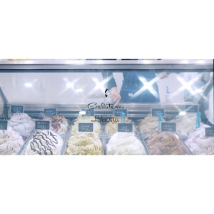 ジェラート騎士が贈る　ジェラートギフト10個セット【菓子 アイス ヨーグルト ジェラート スイーツ デザート 乳製品 仙台 ギフト グルメ 高級 甘味 贈り物 プレゼント クリーミー】