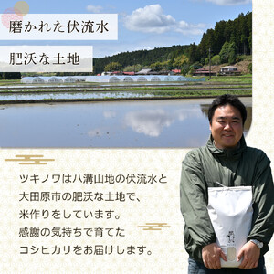 【令和7年産】ツキノワのコシヒカリ 精米 10kg ｜お米 白米 ご飯 コメ 栃木県 大田原市 