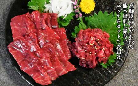熊本 馬刺し 約500g セット （赤身 約300g ユッケ 約200g） 醤油・生姜付き 馬肉 お肉 肉 肉刺し 赤身肉 生肉 生食 国内肥育 食品 ヘルシー 熊本県 熊本市 冷凍
