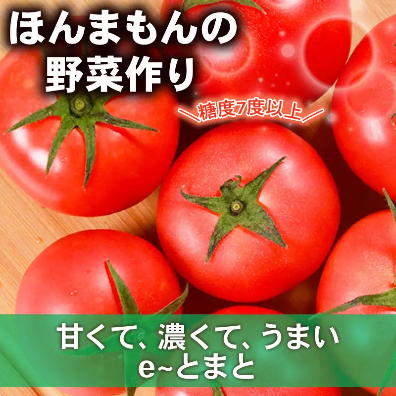e～トマト 大玉 約4kg 高糖度 濃厚 有機肥料 エコ農産物 上田ファーム