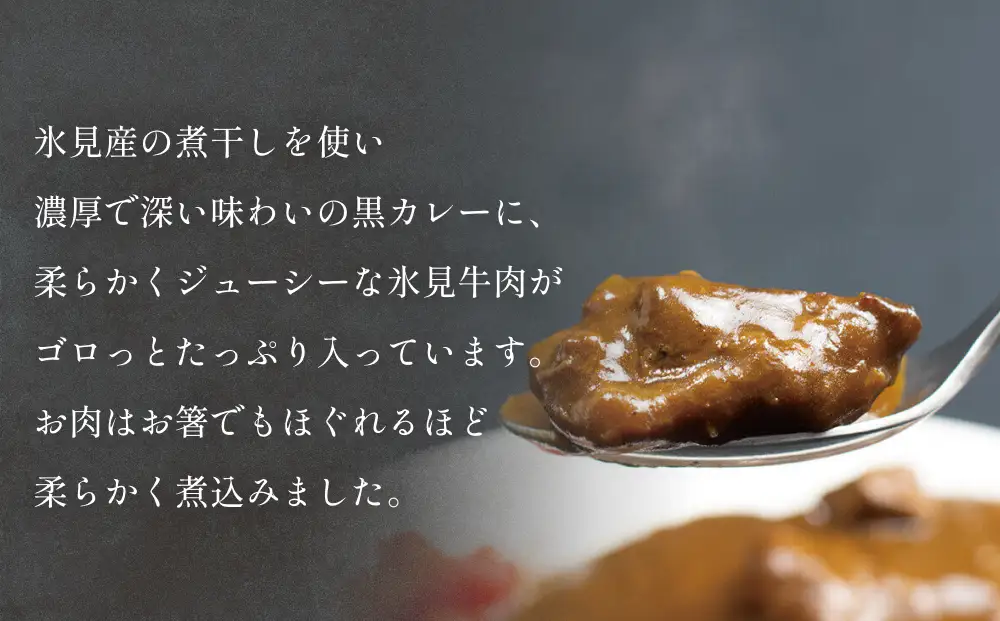 氷見牛カレー（レトルト） 5箱 | ご当地カレー ブランド牛カレー