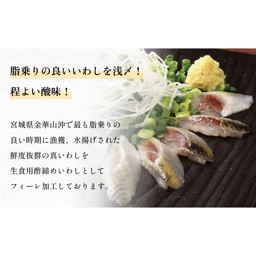 とろ金華いわし酢〆フィーレ 500g 金華いわし 鰯 いわし イワシ フィレ 切身 酢締め お酢 魚 魚介 海鮮 魚介類 冷凍