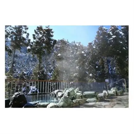 瀬音の湯入浴券　11枚セット【1391368】