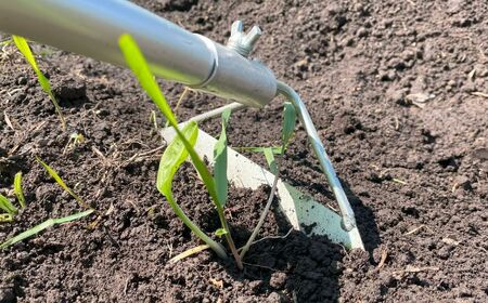 手取り除草機　ホーF21　《足寄町》【株式会社キュウホー】[BEBH002]
