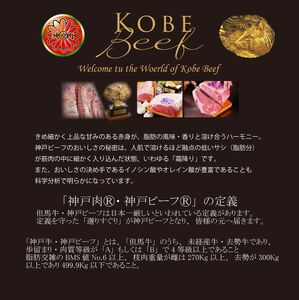 KGS2 神戸牛 すき焼きしゃぶしゃぶ用 500g | 肉 牛肉 神戸牛 すき焼き しゃぶしゃぶ かた もも グルメ 兵庫県 上郡町