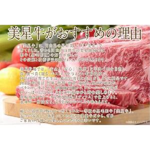岡山　黒毛和牛　美星牛　A４等級以上　牛脂付き サーロイン　サーロインステーキ　約４００g　 約２００g×２枚　美星牧場