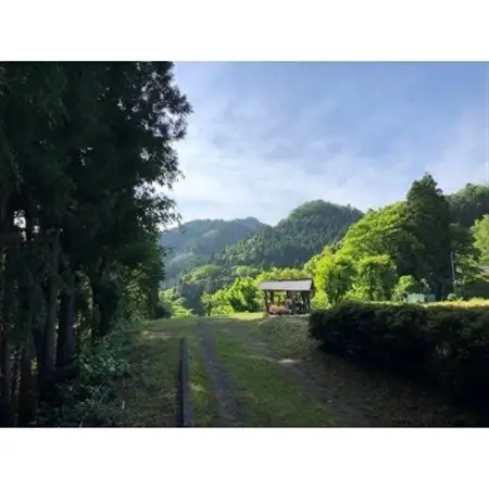 【秋川渓谷 謎解きエコツアー】裏五日市と盗まれた文字　1名様分【1588078】