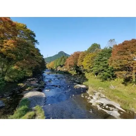 【秋川渓谷 謎解きエコツアー】謎の地図と森の精　1名様分【1588079】