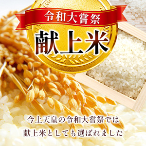 【2026年先行予約】令和大嘗祭献上米！真岡市産 とちぎの星（精米）10kg (CN)
