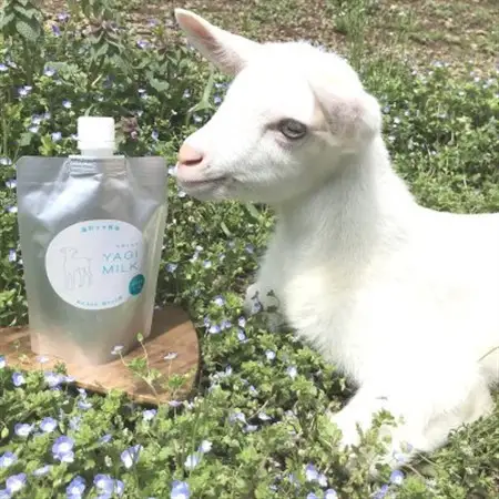 ヤギミルク(わんちゃん猫ちゃん用)200ml 2個セット【配送不可地域：離島】【1613719】