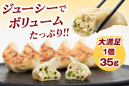 肉と野菜の究極のバランス『宇都宮AQ餃子』2.1kg [0654]