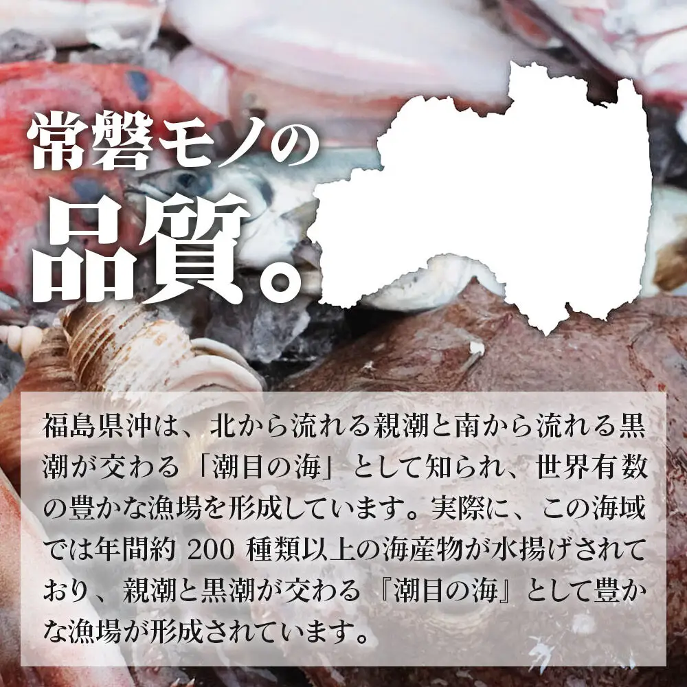 常磐モノ4種入り ゴロゴロ海鮮ユッケ丼 100g×5P シーフード 肴 おかず 魚のおんちゃま