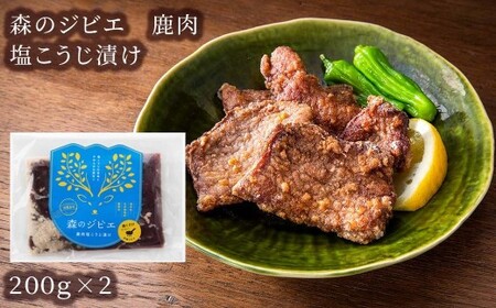 森のジビエ 鹿肉味付き詰合せセット 計600g A-JJ-A19A