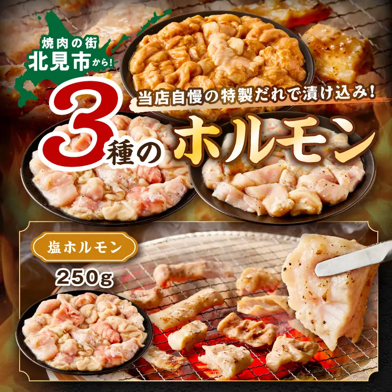 《7営業日以内に発送》北見 ホルモン 3点セット ( 焼肉 ホルモン 肉 にく 味付き肉 )【205-0007】