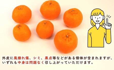 ポンカン 約5.5kg ～ 6kg ふるくとファーム かなこちゃん 先行予約 ポンカン B015-037010