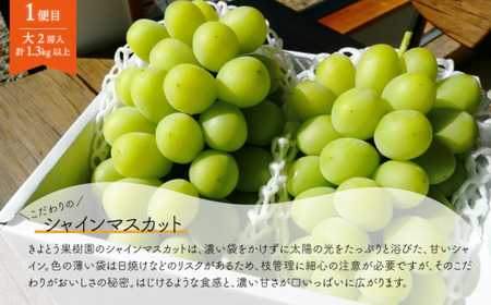 シャインマスカットと梨詰め合わせ2-3種が届く！ぶどうと梨の定期便(岡山県産) 2026年先行予約 【KF-T053-03】