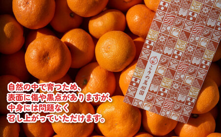 小玉みかん 南柑20号 みかん 5kg 2S~S サイズ こうの果樹園 先行予約 温州みかん 温州 愛媛みかん 愛媛蜜柑 愛媛ミカン うんしゅう みかん ミカン 蜜柑 mikan 果物 フルーツ 柑橘 甘い 甘味 蜜柑 産地直送 農家直送 数量限定 国産 愛媛 宇和島 B010-182003