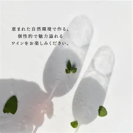 山梨市産推奨ワイン　3本セット【1631253】