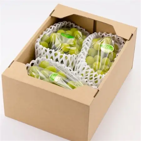 【訳あり】シャインマスカット 2Kg【配送不可地域：離島】【1631232】