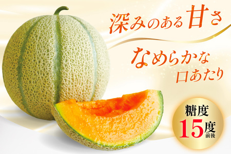 BD201【令和8年度出荷分】マルセイユメロン～島原風香～（3L×2玉） [長崎県 島原市] 