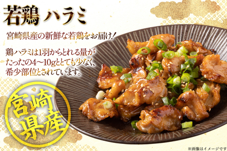 鶏肉 はらみ 宮崎県産 若鶏 ハラミ 300g 10p 計 3kg セット [TRINITY 宮崎県 日向市 452061343]