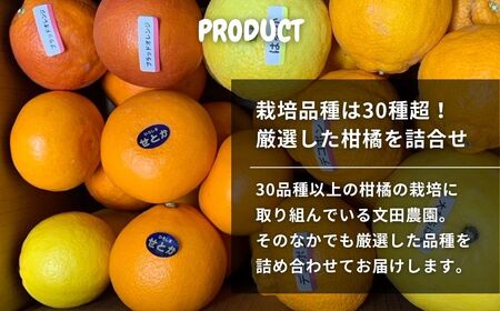 文田農園 の 柑橘 詰め合わせ 約5kg 7~8種 【2027年2月中旬発送開始】 