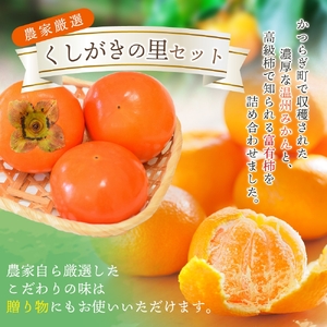 【先行予約】 道の駅くしがきの里セット 富有柿3個・温州みかん約30個の詰め合わせ こだわり農家厳選  【2026年11月上旬頃から12月中旬頃順次発送】| みかん 温州みかん 柿 富有柿 かき 詰め合わせ 果物詰め合わせ 果物 フルーツ おやつ【kgr022】