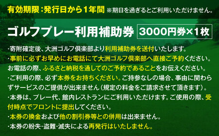 利用券 大洲ゴルフ倶楽部 ゴルフプレー利用補助券 3000円券×1枚 利用券[AGDI002]