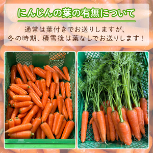 葉付きにんじん 約3kg にんじん