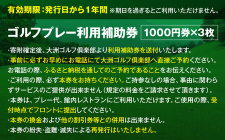 利用券 大洲ゴルフ倶楽部 ゴルフプレー利用補助券 1000円券×3枚 利用券[AGDI001]