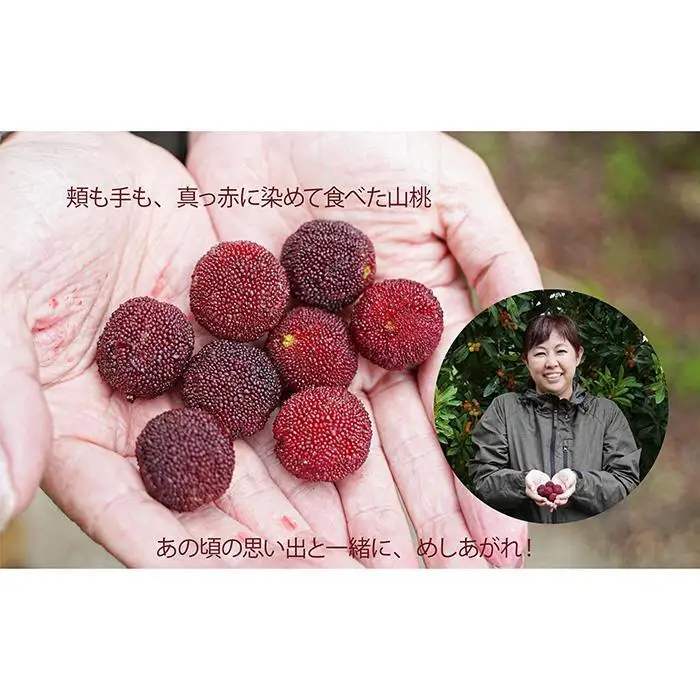 なつかしの果実たっぷり「熊野やまももシロップ」3本セット