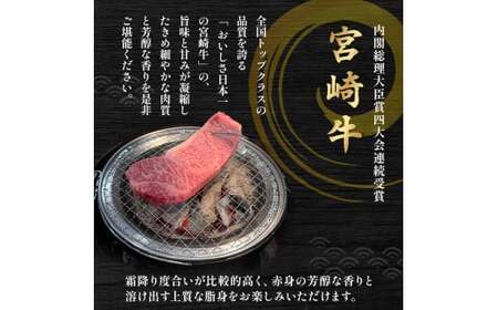 A4等級以上 宮崎牛サーロインステーキ 600g（200g×3枚） 内閣総理大臣賞 牛肉 和牛 黒毛和牛 ブランド牛 宮崎牛 和牛 国産 サーロイン ステーキ