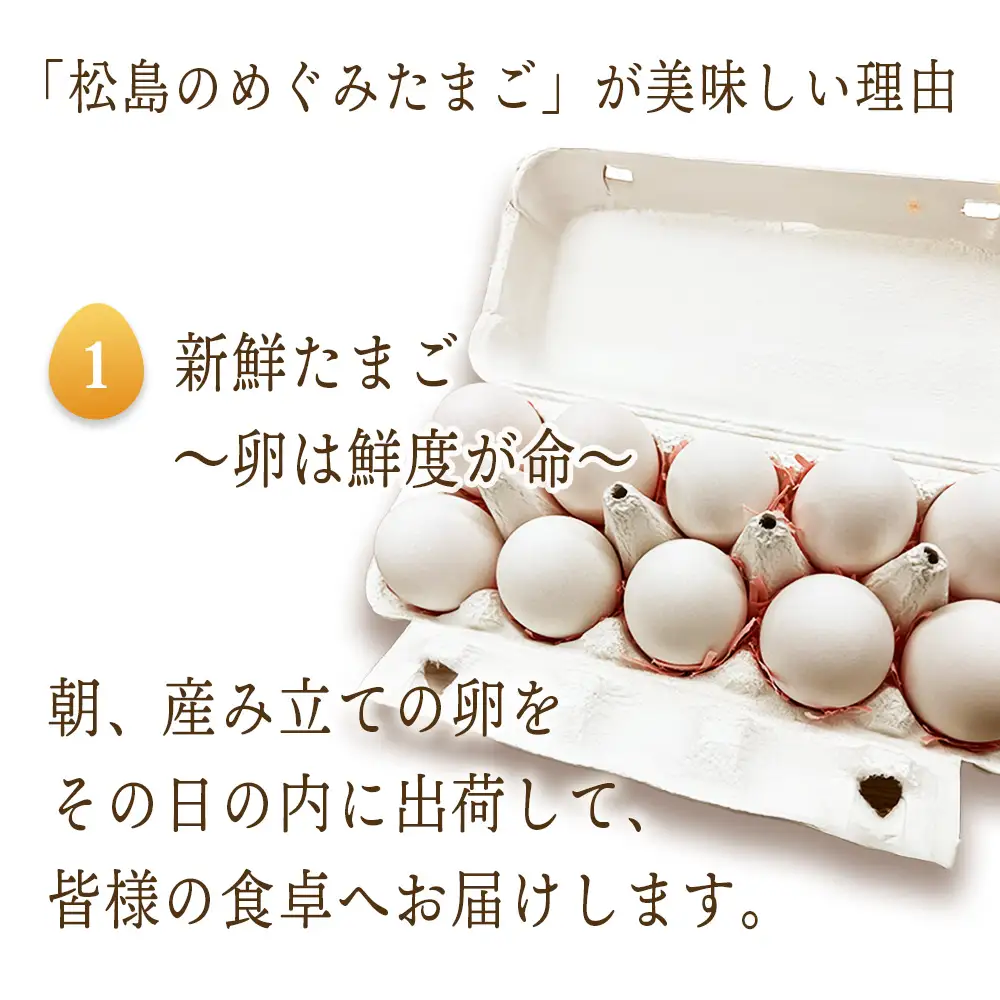 松島のめぐみたまご　20個入り　3ヵ月定期便 No.162