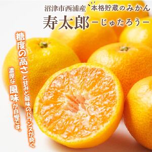 みかん 寿太郎 訳あり 約8kg みかん