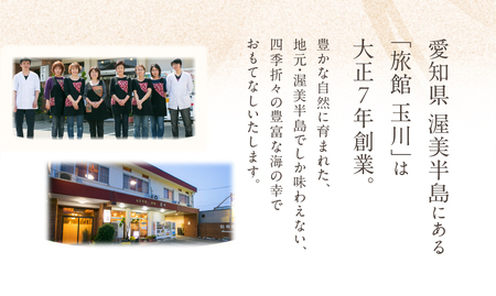 愛知渥美半島 伊良湖温泉 魚と貝のうまい宿 玉川 利用券 15万円分 旅館 旅行券 宿泊券 観光 愛知県 田原市