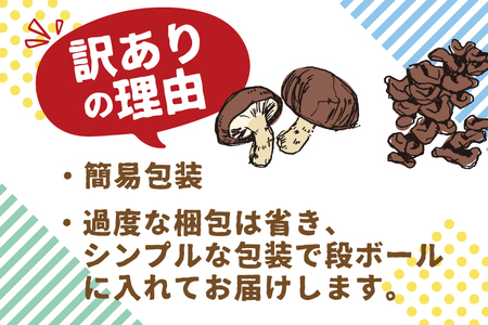  《先行予約》肉厚 しいたけ 計500g / 政木農園 しいたけ 訳あり